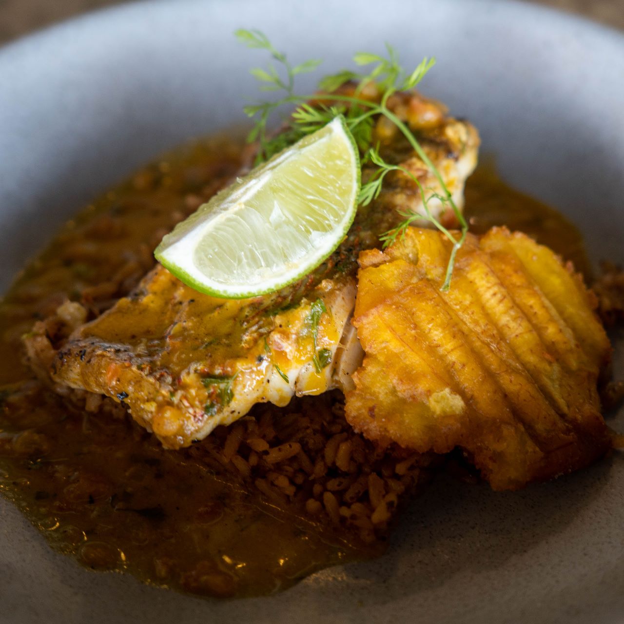Caribbean red snapper in coconut sauce with local sides